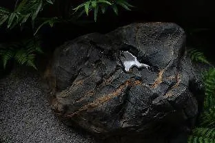 The Junei Hotel Kioto Japonia